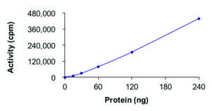 EGFR (C797S), Active recombinant