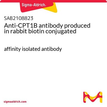 Anti-CPT1B antibody produced in rabbit biotin conjugated affinity isolated antibody