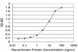 Monoclonal Anti-POU3F2, (N-terminal) antibody produced in mouse clone 1H5, purified immunoglobulin, buffered aqueous solution