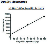 PI3 kinase (p110a/p85a) Active human recombinant, expressed in baculovirus infected insect cells, &#8805;80% (SDS-PAGE)