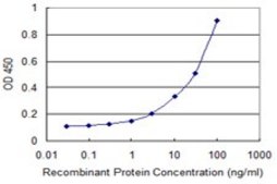 Monoclonal Anti-NELL2 antibody produced in mouse clone 1F6, purified immunoglobulin, buffered aqueous solution