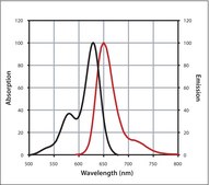 Anti-Rabbit IgG (H+L), highly cross-adsorbed, CF&#8482; 633 antibody produced in goat ~2&#160;mg/mL, affinity isolated antibody