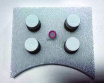 SIG10 Chemically Competent Cells for protein expression and DNA plasmid production