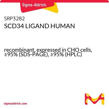 SCD34 LIGAND HUMAN &#160;&#160;&#160; recombinant, expressed in CHO cells, &#8805;95% (SDS-PAGE), &#8805;95% (HPLC)