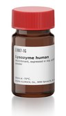Lysozyme human Lysobac&#8482;, recombinant, expressed in rice, lyophilized powder, &#8805;100,000&#160;units/mg protein