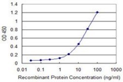 Monoclonal Anti-IFNA13 antibody produced in mouse clone 3F9, purified immunoglobulin, buffered aqueous solution