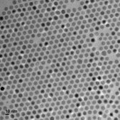 Iron oxide(II,III), magnetic nanoparticles solution 10&#160;nm avg. part. size (TEM), PEG functionalized, 1&#160;mg/mL Fe in H2O, dispersion