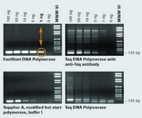 FastStart&#8482; Taq DNA Polymerase, 5 U/&#956;l dNTPs included: no, hotstart, suitable for PCR