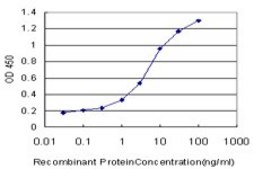 Monoclonal Anti-LAP3 antibody produced in mouse clone 4G10, purified immunoglobulin, buffered aqueous solution
