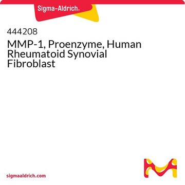 MMP-1, Proenzyme, Human Rheumatoid Synovial Fibroblast