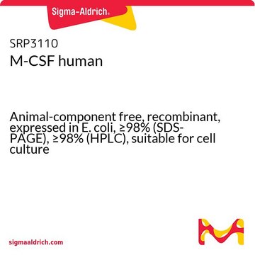 M-CSF human Animal-component free, recombinant, expressed in E. coli, &#8805;98% (SDS-PAGE), &#8805;98% (HPLC), suitable for cell culture