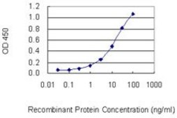 Monoclonal Anti-PPP3CC antibody produced in mouse clone 4D1, purified immunoglobulin, buffered aqueous solution