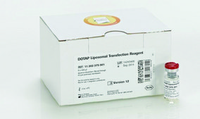 DOTAP Liposomal Transfection Reagent &gt;99% (TLC), liquid, suitable for transfection