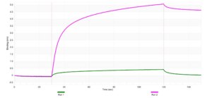 Anti-Myosin-11 Antibody, clone 1L21 ZooMAb&#174; Rabbit Monoclonal recombinant, expressed in HEK 293 cells