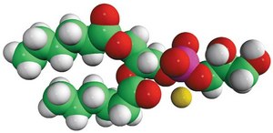 06:0 PG 1,2-dihexanoyl-sn-glycero-3-phospho-(1&#8242;-rac-glycerol) (sodium salt), powder