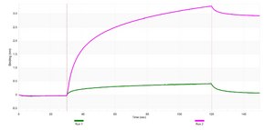 Anti-ACE Antibody, clone 1E15 ZooMAb&#174; Rabbit Monoclonal recombinant, expressed in HEK 293 cells