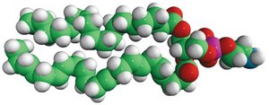 18:0-22:6 PE 1-stearoyl-2-docosahexaenoyl-sn-glycero-3-phosphoethanolamine, chloroform