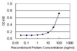 Monoclonal Anti-CA4 antibody produced in mouse clone 4G6, purified immunoglobulin, buffered aqueous solution