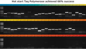 KAPA2G Robust HotStart ReadyMix 2&#160;×, with dye