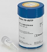 Biotin-16-dUTP