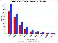Anti-MLKL (58-70) antibody produced in rabbit IgG fraction of antiserum, buffered aqueous solution