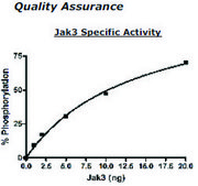 Jak3 Active human recombinant, expressed in baculovirus infected insect cells, &#8805;60% (SDS-PAGE)