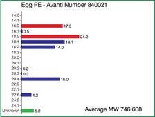 Egg PE Avanti Research™ - A Croda Brand 840021P