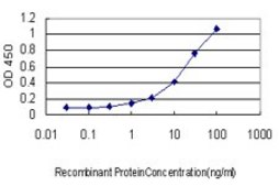 Monoclonal Anti-UNC5B antibody produced in mouse clone 1A9, purified immunoglobulin, buffered aqueous solution