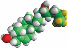 22(R)-hydroxycholesterol-d7 Avanti Research&#8482; - A Croda Brand