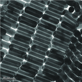 Gold nanorods 10&#160;nm diameter, &#955;max, 780&#160;nm, dispersion in H2O