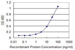 Monoclonal Anti-EVC antibody produced in mouse clone 3C4, purified immunoglobulin, buffered aqueous solution