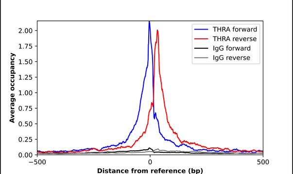 Anti-THRA antibody produced in rabbit Prestige Antibodies&#174; Powered by Atlas Antibodies, affinity isolated antibody, buffered aqueous glycerol solution
