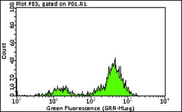 Milli-Mark&#174; Anti-CD5-FITC Antibody, clone DK23 clone DK23, Milli-Mark&#174;, from mouse