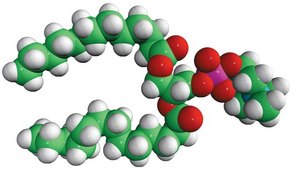 13:0 PC 1,2-ditridecanoyl-sn-glycero-3-phosphocholine, chloroform