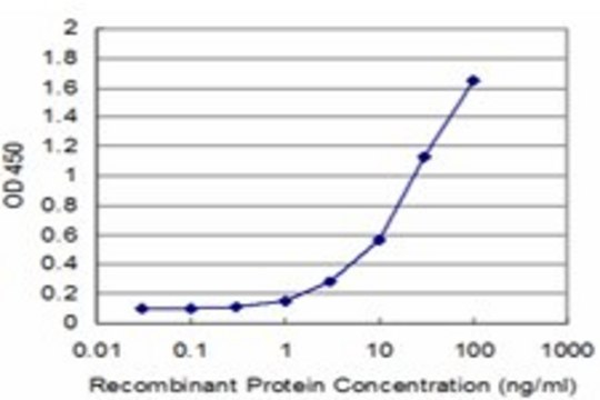 Monoclonal Anti-FTL antibody produced in mouse clone 3B2, purified immunoglobulin, buffered aqueous solution