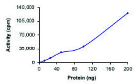 PCTK2 (CDK17)/CYCLINY, Active PRECISIO&#174; Kinase, recombinant