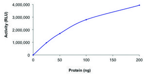 SPHK1, active, GST tagged human PRECISIO&#174;, recombinant, expressed in baculovirus infected Sf9 cells, &#8805;70% (SDS-PAGE), buffered aqueous glycerol solution