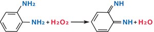 o-Phenylenediamine flaked, 99.5%