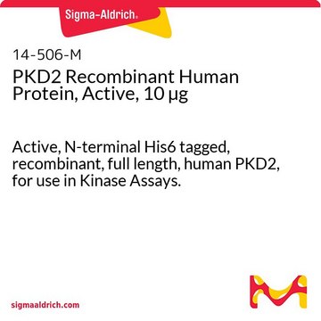 PKD2 Recombinant Human Protein, Active, 10 &#181;g Active, N-terminal His6 tagged, recombinant, full length, human PKD2, for use in Kinase Assays.