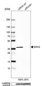 Anti-MDH2 antibody produced in rabbit Prestige Antibodies&#174; Powered by Atlas Antibodies, affinity isolated antibody, buffered aqueous glycerol solution