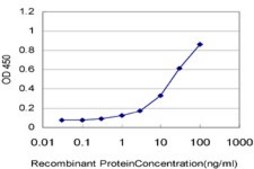 Monoclonal Anti-USP21 antibody produced in mouse clone 3D10, purified immunoglobulin, buffered aqueous solution