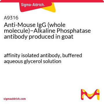 Anti-Mouse IgG (whole molecule)&#8722;Alkaline Phosphatase antibody produced in goat affinity isolated antibody, buffered aqueous glycerol solution