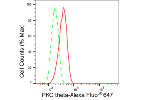 Anti PKC theta Antibody, clone 23GB4105, Rabbit Monoclonal clone 23GB4105, recombinant rabbit monoclonal, expressed in HEK293 cells