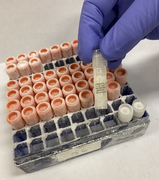 Sf-RVN&#174; Insect Cell Line