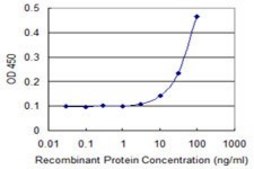 Monoclonal Anti-MRPS22 antibody produced in mouse clone 1E1, purified immunoglobulin, buffered aqueous solution