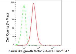 Anti Insulin like growth factor 2 Antibody, clone 23GB6205, Rabbit Monoclonal clone 23GB6205, recombinant rabbit monoclonal, expressed in HEK293 cells