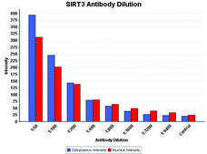 Anti-Sirt3 antibody produced in rabbit affinity isolated antibody, buffered aqueous solution