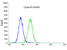 Anti-Cyclin D3 antibody, Rabbit monoclonal recombinant, expressed in proprietary host, clone SP207, affinity isolated antibody