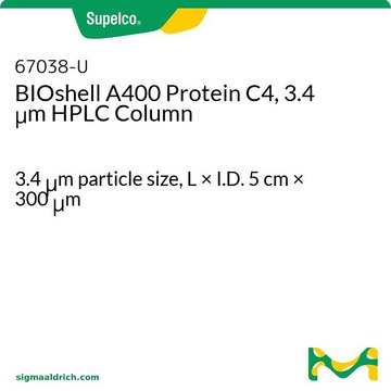 BIOshell A400 Protein C4, 3.4 &#956;m HPLC Column 3.4&#160;&#956;m particle size, L × I.D. 5&#160;cm × 300&#160;&#956;m