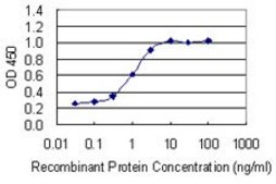 Monoclonal Anti-TFEB antibody produced in mouse clone S3, purified immunoglobulin